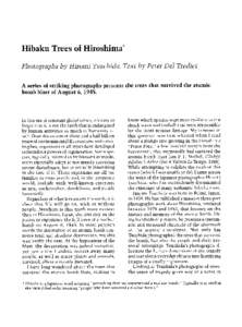 Hibaku Trees of Hiroshima