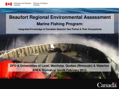 Beaufort Regional Environmental Assessment Marine Fishing Program: Integrated Knowledge of Canadian Beaufort Sea Fishes & Their Ecosystems DFO & Universities of Laval, Manitoba, Quebec (Rimouski) & Waterloo BREA Workshop