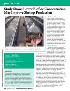 Study Shows Lower Biofloc Concentration May Improve Shrimp Production