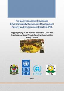Pro-poor Economic Growth and Environmentally Sustainable Development Poverty and Environment Initiative (PEI) Mapping Study of P-E Related Innovative Local Best Practices and Local Private Funding Opportunities Ikungi Di
