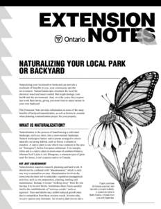 NATURALIZING YOUR LOCAL PARK OR BACKYARD Naturalizing your local park or backyard can provide a multitude of benefits to you, your community and the environment. Natural landscapes eliminate the need for chemical weed an