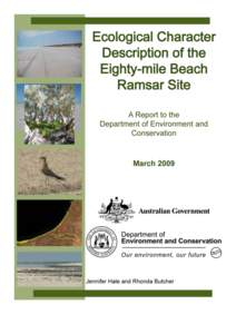 Citation: Hale, J. and Butcher, R., 2009, Ecological Character Description of the Eighty-mile Beach Ramsar Site, Report to the Department of Environment and Conservation, Perth, Western Australia. Funding for the devel