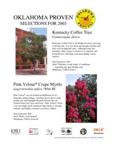 OKLAHOMA PROVEN SELECTIONS FOR 2003 Kentucky Coffee Tree Gymnocladus dioica Kentucky Coffee Tree is an Oklahoma native growing to 60 feet tall. It is very heat and drought tolerant and