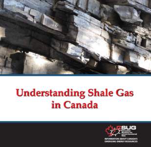 Understanding Shale Gas in Canada What is Shale Gas? Shale gas is natural gas, no different than what you currently use to heat