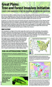 Emerald ash borer / Fraxinus americana / Fraxinus / Wood fuel / American Chestnut / Nebraska Forest Service / Spathius agrili / Tetrastichus planipennisi / Flora of the United States / Medicinal plants / Buprestidae