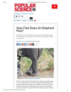 How Fast Does An Elephant Pee? | Popular Science  Login/Register   Newsletter   Subscribe