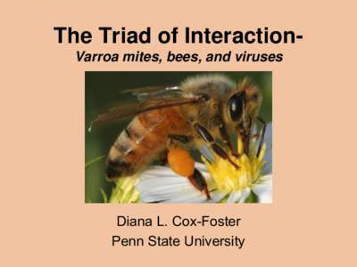 The Triad of InteractionVarroa mites, bees, and viruses  Diana L. Cox-Foster Penn State University  Varroa