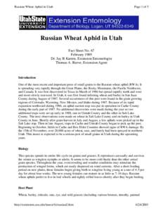 Russian Wheat Aphid in Utah