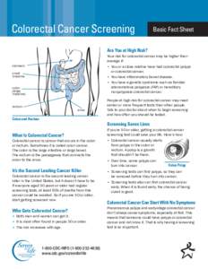 Colorectal Cancer Screening: Basic Fact Sheet