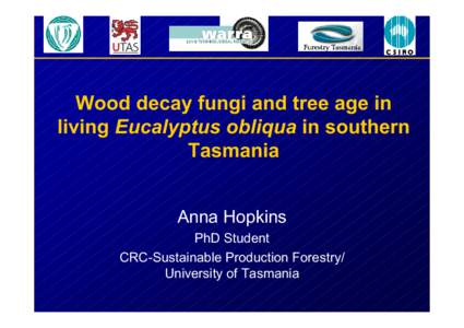 Wood decay fungi and saproxylic invertebrates in Tasmania’s southern  forests