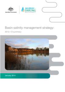 Basin salinity management strategy: [removed]summary