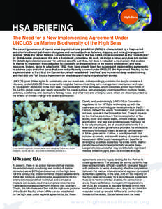 C.SARDET/CNRS/TARA OCEANS  HSA BRIEFING The Need for a New Implementing Agreement Under UNCLOS on Marine Biodiversity of the High Seas The current governance of marine areas beyond national jurisdiction (ABNJ) is charact