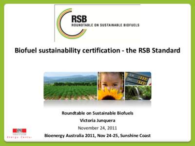 Biofuel sustainability certification - the RSB Standard  Roundtable on Sustainable Biofuels Victoria Junquera  November 24, 2011