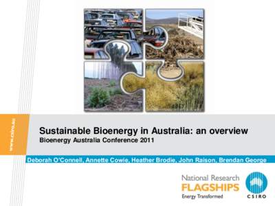 Sustainable Bioenergy in Australia: an overview Bioenergy Australia Conference 2011 Deborah O’Connell, Annette Cowie, Heather Brodie, John Raison, Brendan George Sustainable Biomass Production And thanks to the broade