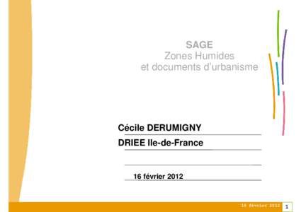 SAGE Zones Humides et documents d’urbanisme Cécile DERUMIGNY DRIEE Ile-de-France