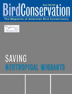 BirdConservation Winter[removed]The Magazine of American Bird Conservancy  SAVING
