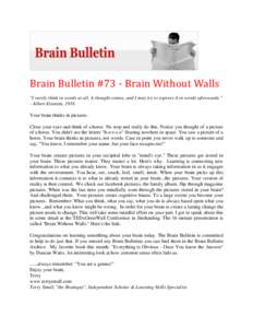 Brain Bulletin #73 - Brain Without Walls 