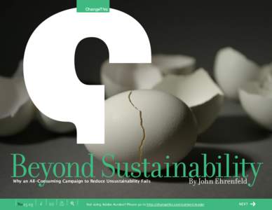 ChangeThis  Beyond Sustainability Why an All-Consuming Campaign to Reduce Unsustainability Fails  No 25.03