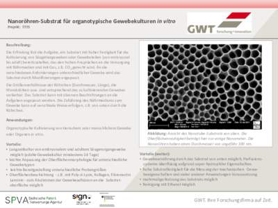 Nanoröhren-Substrat für organotypische Gewebekulturen in vitro Projekt: 7775 Beschreibung: Die Erfindung löst die Aufgabe, ein Substrat mit hoher Festigkeit für die Kultivierung von Säugetiergeweben oder Gewebeteile