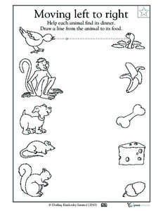 Moving left to right Help each animal find its dinner. Draw a line from the animal to its food. © Dorling Kindersley Limited [2010]