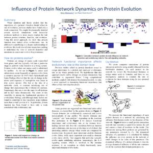 Inﬂuence	
  of	
  Protein	
  Network	
  Dynamics	
  on	
  Protein	
  Evolu9on	
   	
   Brian	
  Mannakee1	
  and	
  Ryan	
  Gutenkunst2 10 10