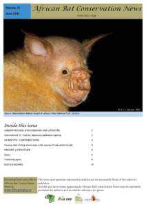 Volume 25 June 2011 African Bat Conservation News ISSN[removed]