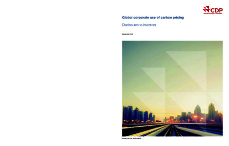 Global corporate use of carbon pricing  CDP North America Paula DiPerna Special Advisor