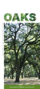 GUIDE TO SACRAMENTO  Mighty Oaks Sacramento’s native oak trees are the true monarchs of the forest. With a life span of up to 400 years, they can reach 100 feet