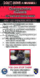 DON’T MOVE A MUSSEL!  Quagga/zebra mussels ruin boats and destroy waters DON’T LET THEM RIDE WITH YOU!