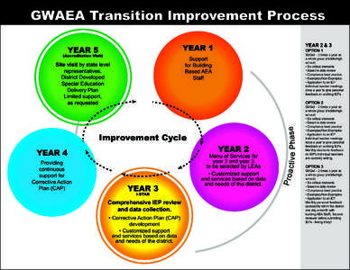 GWAEA Transition Improvement Process YEAR 2 & 3 YEAR 1  YEAR 5