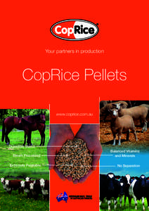 Your partners in production  CopRice Pellets www.coprice.com.au  Digestible Starch