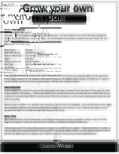 Page 1 of 2  Grow your own Basil  Baah-sil or Bay-zil