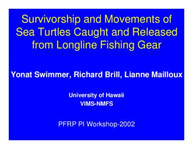 Survivorship and Movements of Sea Turtles Caught and Released from Longline Fishing Gear Yonat Swimmer, Richard Brill, Lianne Mailloux University of Hawaii VIMS-NMFS