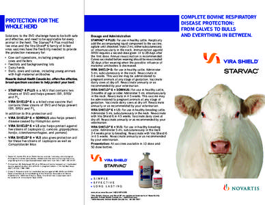 PROTECTION FOR THE WHOLE HERD Solutions to the BVD challenge have to be both safe and effective, and need to be applicable for every animal in the herd. The Starvac® 4 Plus modified live virus and the Vira Shield® 6 fa