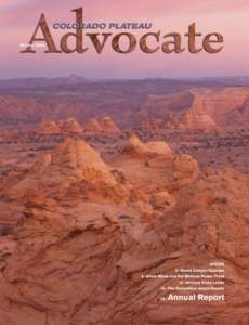 LETTER FROM THE CHAIR  Stewart Lee Udall Viejo of the Colorado Plateau  T