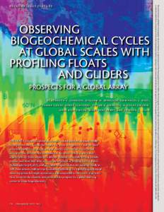 Observing Biogeochemical Cycles at Global Scales with Profiling Floats 					 and Gliders