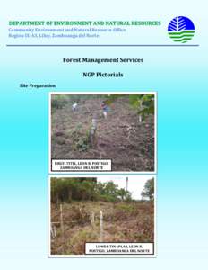 DEPARTMENT OF ENVIRONMENT AND NATURAL RESOURCES Community Environment and Natural Resource Office Region IX-A3, Liloy, Zamboanga del Norte Forest Management Services NGP Pictorials
