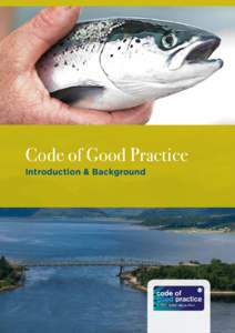Code of Good Practice Introduction & Background INTRODUCTION AND BACKGROUND TO THE CODE  Table of Contents