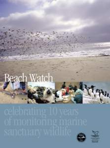 Beach Watch celebrating 10 years of monitoring marine sanctuary wildlife  Our Volunteers
