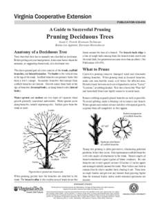 publication[removed]A Guide to Successful Pruning Pruning Deciduous Trees Susan C. French, Extension Technician