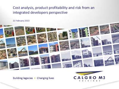 Cost analysis, product profitability and risk from an integrated developers perspective 21 February 2013 Market Trends Product profitability