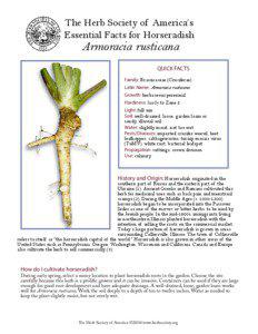 The Herb Society of America’s Essential Facts for Horseradish
