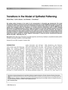 DEVELOPMENTAL DYNAMICS 226:155–159, 2003  BRIEF COMMUNICATION Transitions in the Model of Epithelial Patterning Michal Prˇibyl,1 Cyrill B. Muratov,2 and Stanislav Y. Shvartsman1*