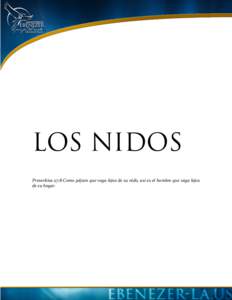 LOS NIDOS Proverbios	
  27:8	
  Como	
  pájaro	
  que	
  vaga	
  lejos	
  de	
  su	
  nido,	
  así	
   es	
  el	
  hombre	
   que	
  vaga	
  lejos	
   de	
  su	
  hogar. Cuando la Biblia habla de lo