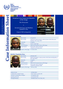 Case Information Sheet  ICC-PIDS-CIS-DRC2[removed]11_Eng