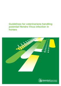 Guidelines for veterinarians handling potential Hendra Virus infection in horses