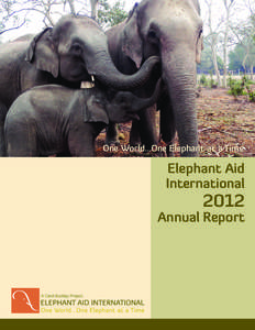 One World...One Elephant at a Time  Elephant Aid International  2012