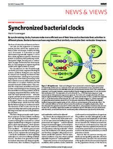 Vol 463|21 January[removed]NEWS & VIEWS SYNTHETIC BIOLOGY  Synchronized bacterial clocks