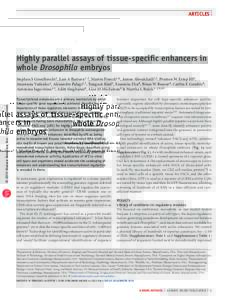 Articles  Highly parallel assays of tissue-specific enhancers in whole Drosophila embryos  © 2013 Nature America, Inc. All rights reserved.