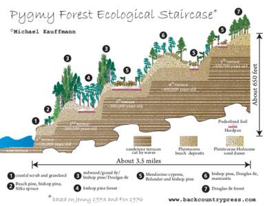 Pygmy Forest Ecological Staircase* 5th terrace ~500,000 years old 4th terrace ~400,000 years old